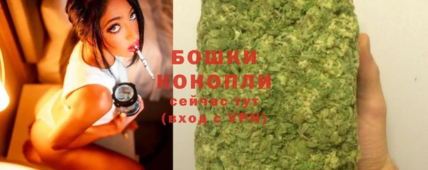 дмт Дмитров