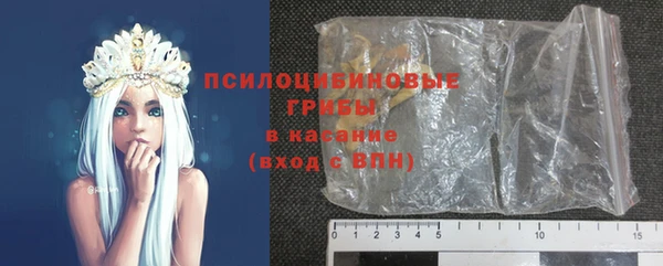 дмт Дмитров