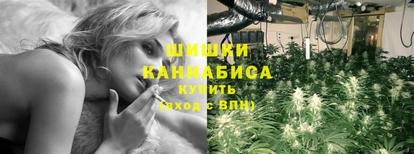 дмт Дмитров