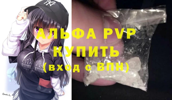 дмт Дмитров